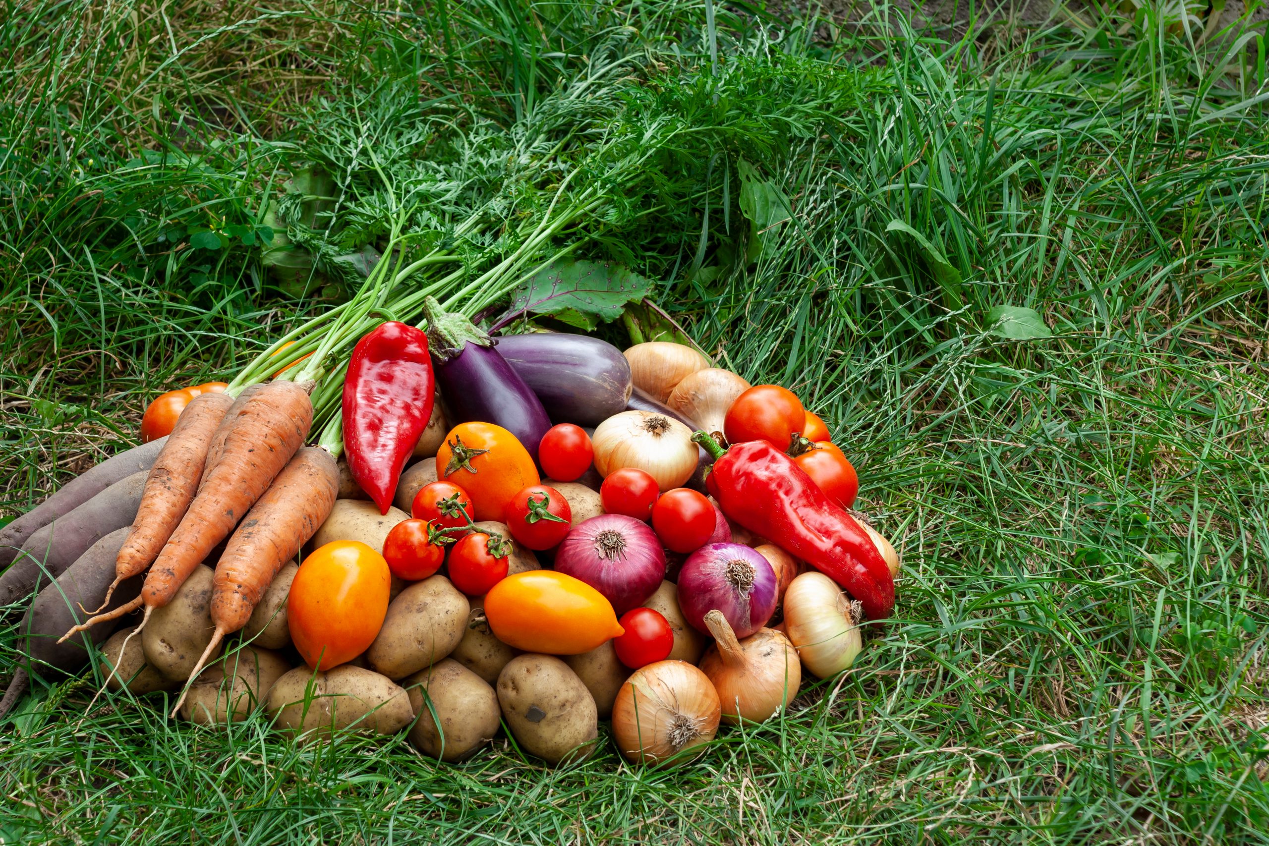 Fresh-Vegetables-scaled.jpg